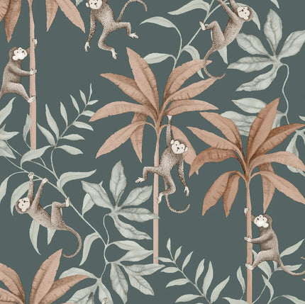 Newbie - Jungle Friends