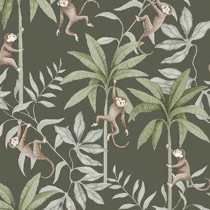 Newbie - Jungle Friends