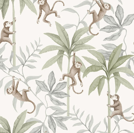 Newbie - Jungle Friends