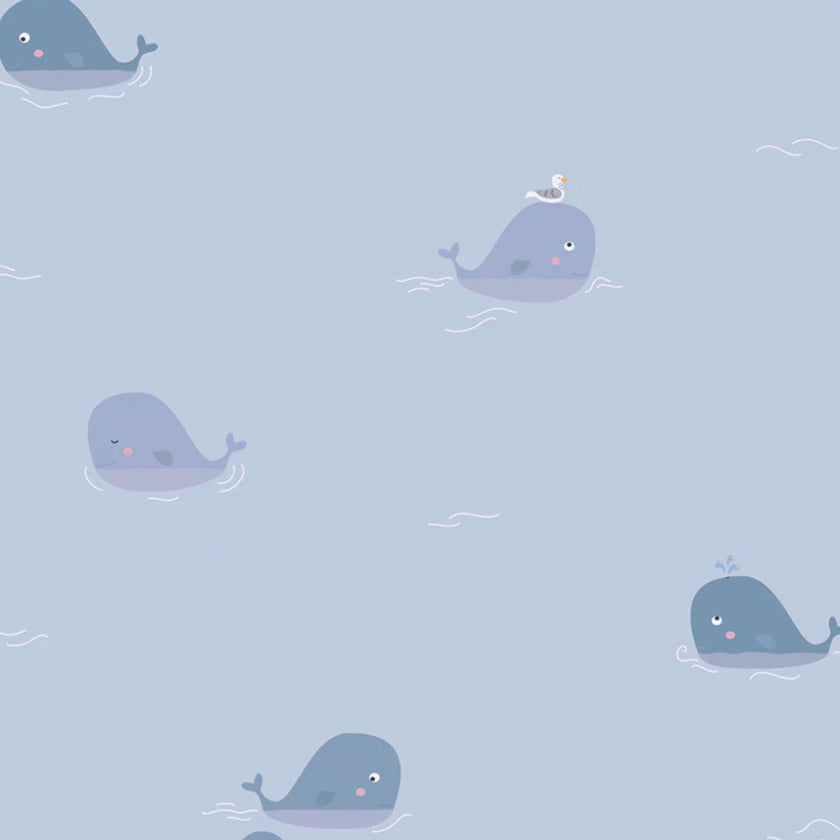 Little Love - Whales