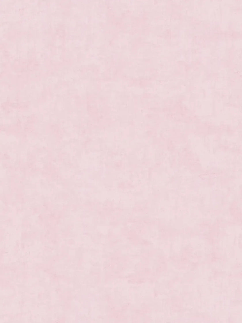 Lilly & Luis - Pastel Plaster