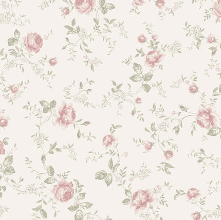 Newbie - Rose Garden